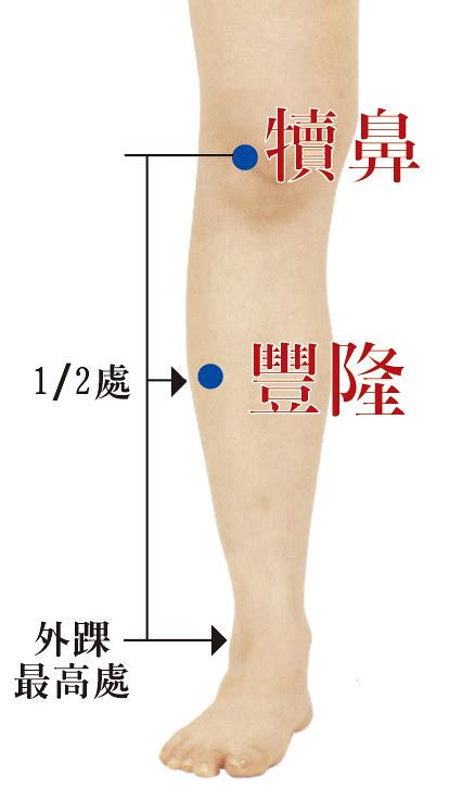 豐隆穴位置